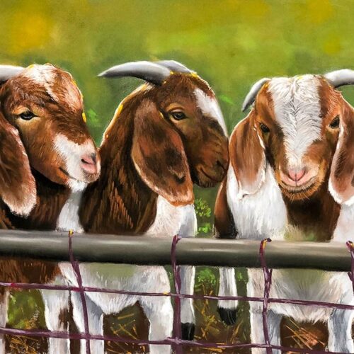 Three's Company. Pastel. 13 x 19 inches. Framed. Original. Nanette Catigbe. 2019