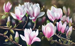 Magnificent Magnolias – 21x13 Original Pastel Painting by Nanette Catigbe (2019)