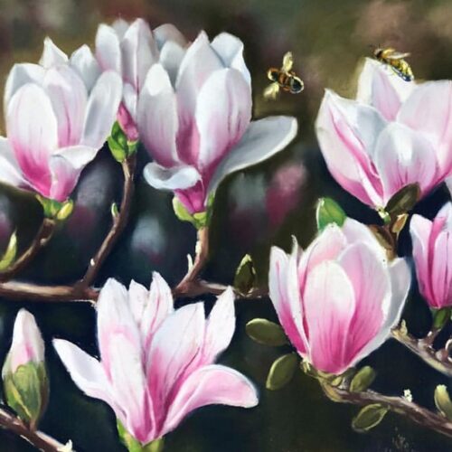 Magnificent Magnolias. Pastel. 21 x 13 inches. Original. Nanette Catigbe