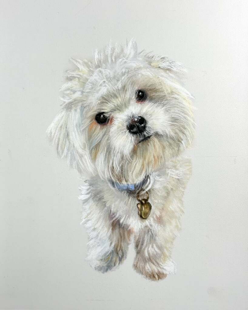 Custom Pet Portrait From Photo | 9×12 Pastel Painting | Dog or Cat Art Commission - Image 2