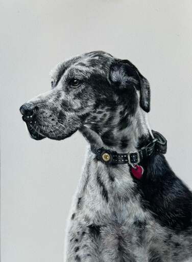 Custom Pet Portrait From Photo | 9×12 Pastel Painting | Dog or Cat Art Commission